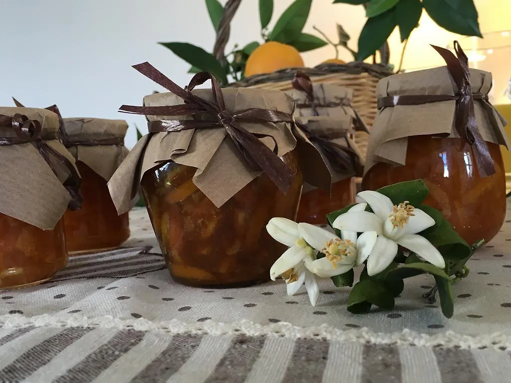 Monti Di Jogliu Farm stay